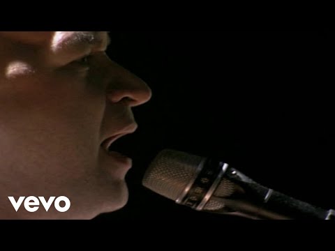 Selvagem - Os Paralamas Do Sucesso