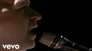 Os Paralamas Do Sucesso - Selvagem (Ao Vivo)