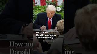 Thumbnail for How much is Donald Trump costing America’s economy? | The Economist