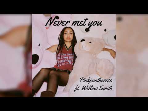 Never Met You || pinkpantheress ft. Willow Smith