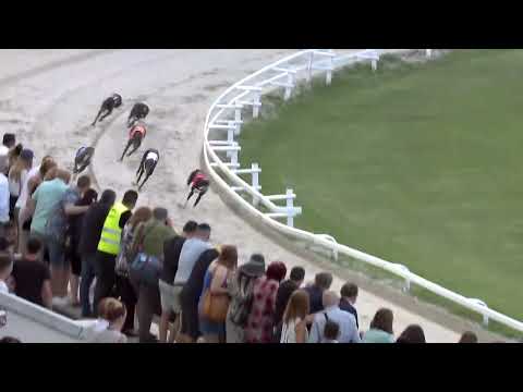 2023.06.30 7. FUTAM - KINCSEM PARK MAGYAR DERBY CONSOLATION