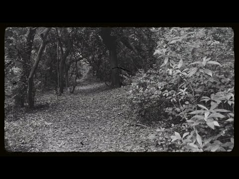 BYD JAY - Spirit (Official Video)