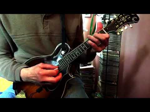 The Pink Panther Theme on Mandolin