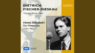 Die Winterreise, D. 911: Irrlicht (In die tiefsten Felsengründe)