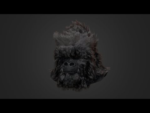 GroomBear for Houdini Video