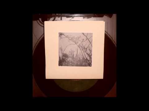 Video thumbnail for Afraid of Home