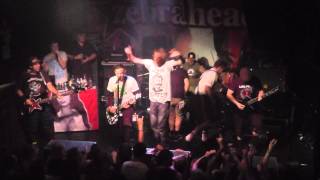 Zebrahead - The Set-Up