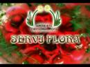 download lagu mp3 mp4 Logotipo Vianney, download mp3 Logotipo Vianney free download, download mp3 Logotipo Vianney