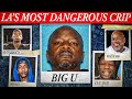 The Dark Downfall of Big U: LA's Most Dangerous Crip DEFAULT Thumbnail