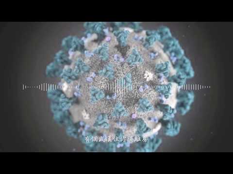 CJ, Karƶy, Diƶƶy L - 武漢肺炎 (COVID-19?)