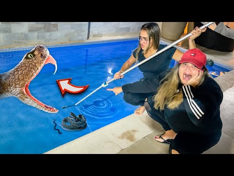 A snake appeared in the pool and we had to get it out 😱😱😱