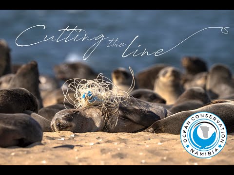 Cutting The Line Teaser #1