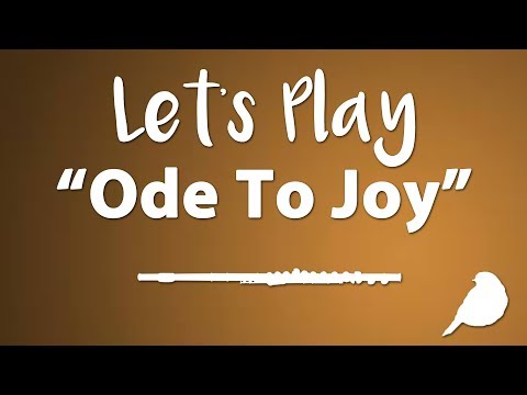 Let's Play "Ode To Joy" - Flute