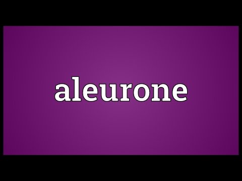 Aleurone Meaning
