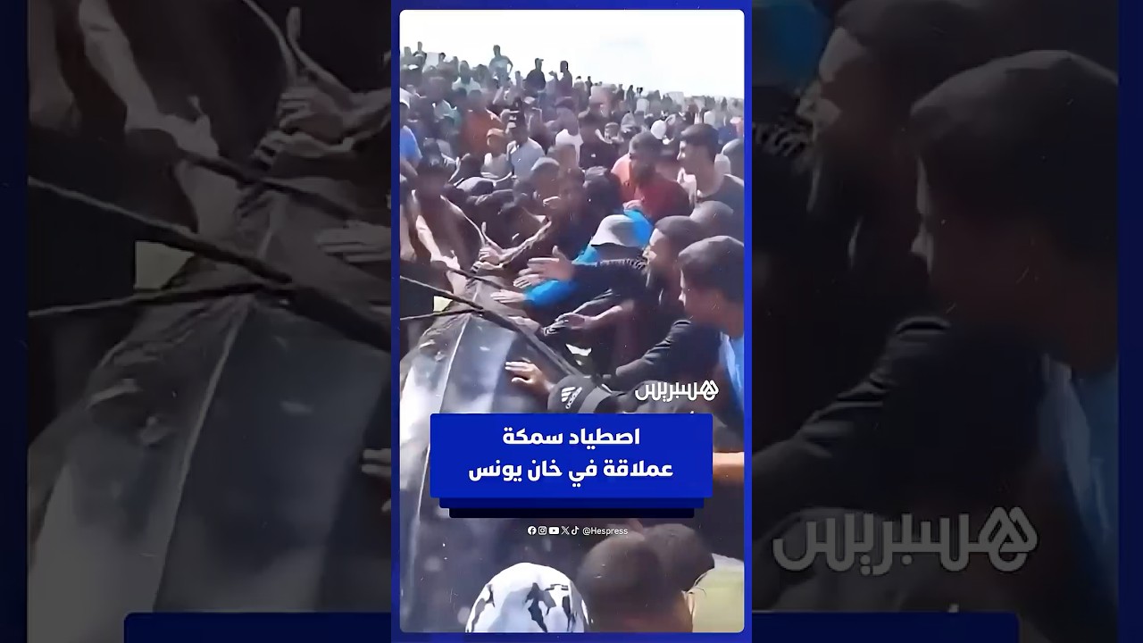 فرحة فلسطينيين في خان يونس بعد اصطياد سمكة عملاقة thumbnail