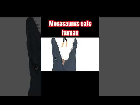 Mosasaurus eat a human! #dinosaur #jurassicworld #jurassicpark #spinosaurus #shark #animation #fyp