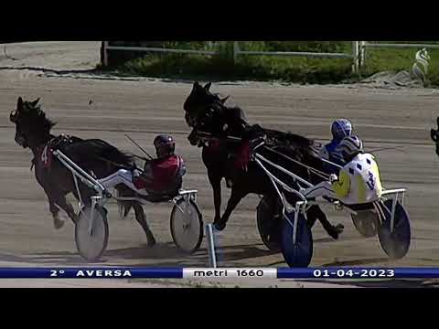Aversa trotto 1 Aprile 2023 - 2° Corsa