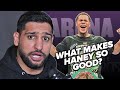 Amir Khan PREDICTS Haney beats Ryan Garcia; REVEALS sparring story & Crawford p4p BEST!