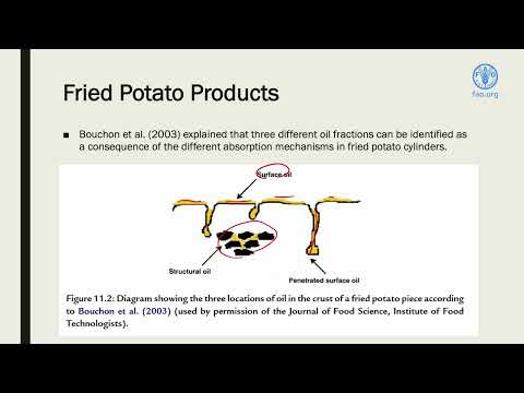 FAO training for Pacific SIDS - Deep fat fried and dehydrated potato products