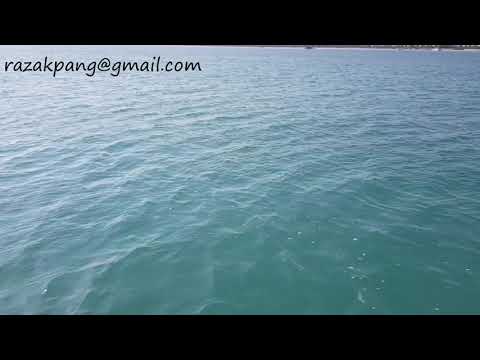 Relaxing Beach Waves