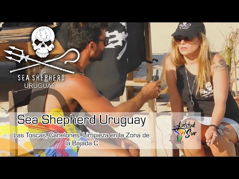 🌊🐳🌊Sea Shepherd Uruguay limpiando Playas Uruguayas 2021