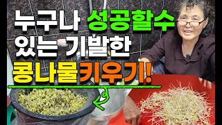 콩나물 누구나 쉽게 키우는법 이렇게 키워보세요 콩나물키우기 콩나물기르기