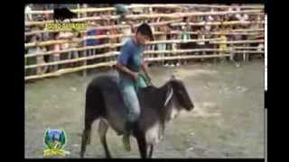 preview picture of video 'NUEVO PROGRESO - TOCACHE - SAN MARTIN rodeo ganadero parte 2'