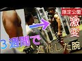 【肩トレ】たった3週間で《貧弱な腕》→《マッチョ》な腕に仕上げた肩のトレーニングを紹介!!
