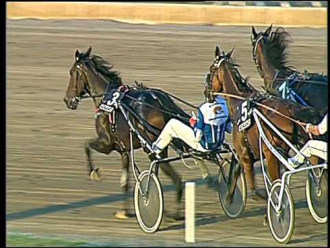 Trotto 30/09/2016 - 6ª corsa