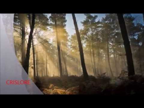 GRUPO AMADEUS Y ROXANA YACOB