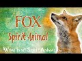Fox Spirit Animal Fox Totem Power Animal Fox Symbolism Meanings