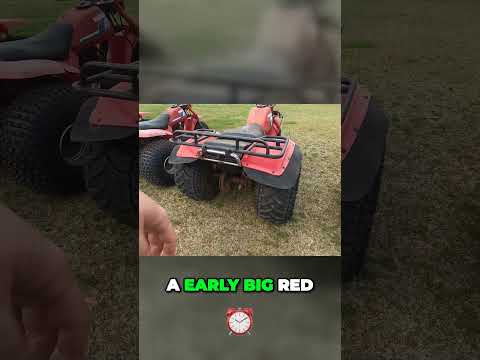 Easy way to tell a 84 big red from an 82 or 83 honda big red