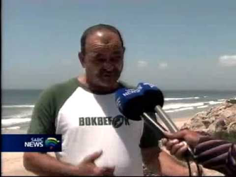 Fish 11 December 2011