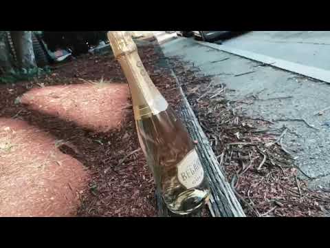 JJ x Abandz - “Poppy” ( Official music video )S/E by Mr.Brownie