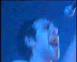 Shed Seven - Return