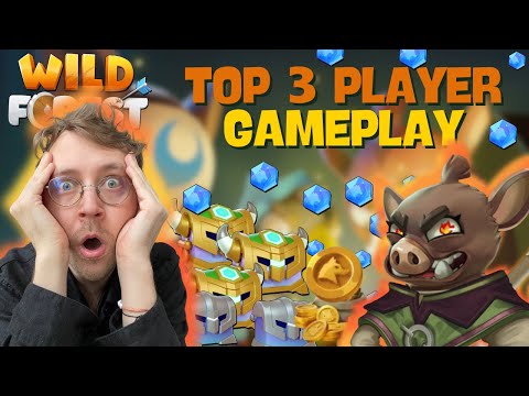 Top 3 Player Gameplay in Wild Forest | Guide for Players