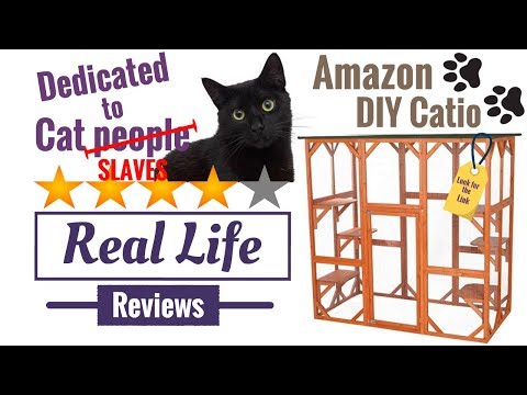 In depth Amazon Catio Real Life Review