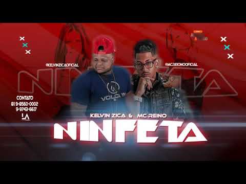 MC REINO E MC KELVIN ZICA - VOU BOTAR (MUSICA 2019)