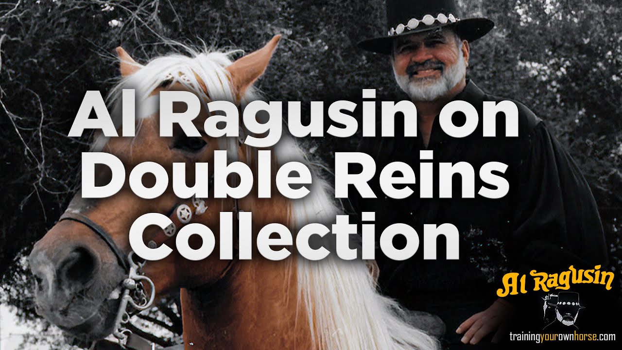See the Double Rein Collection Method in Action