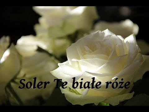 Solero - Te białe róże ( OldSchool 90s  2020)