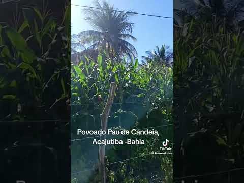 Acajutiba Bahia 😍
