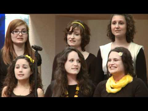 Bee Geesus - Freedom Is Coming