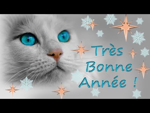 download lagu mp3 mp4 Le Chat Meilleurs Voeux, download lagu Le Chat Meilleurs Voeux gratis, unduh video klip Le Chat Meilleurs Voeux