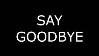 Say Goodbye- (feat. Ralph Gaudino)