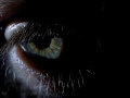 Lo Fidelity Allstars - Vision Incision [Official Music Video]