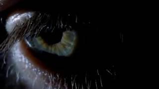 Lo Fidelity Allstars - Vision Incision [Official Music Video]