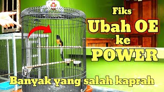 Download lagu Simak trik ini | Ubah OVER BIRAHI Murai batu menjadi Power dan Tenaga ‼️ mp3 Download lagu Simak trik ini | Ubah OVER BIRAHI Murai batu menjadi Power dan Tenaga ‼️ mp3