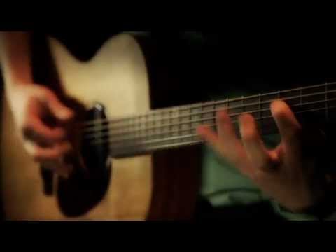 Timber Tones Santos Rosewood on Acoustic Guitar