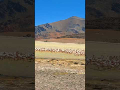 Laguna grande del volcán Galán - Catamarca #turismo #turismoargentina #viajar #antofagastadelasierra