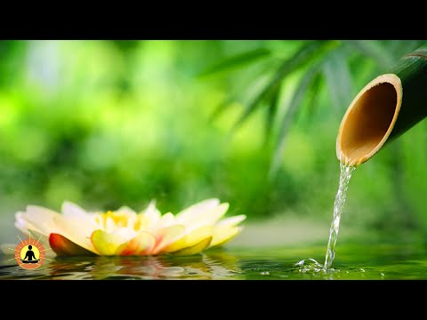🔴 Relaxing Music 24/7, Stress Relief Music, Sleep Music, Meditation Music, Study, River Sounds